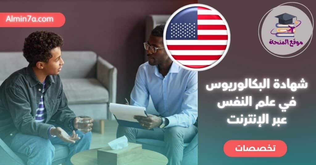 شهادة البكالوريوس في علم النفس عبر الإنترنت | دليل شامل