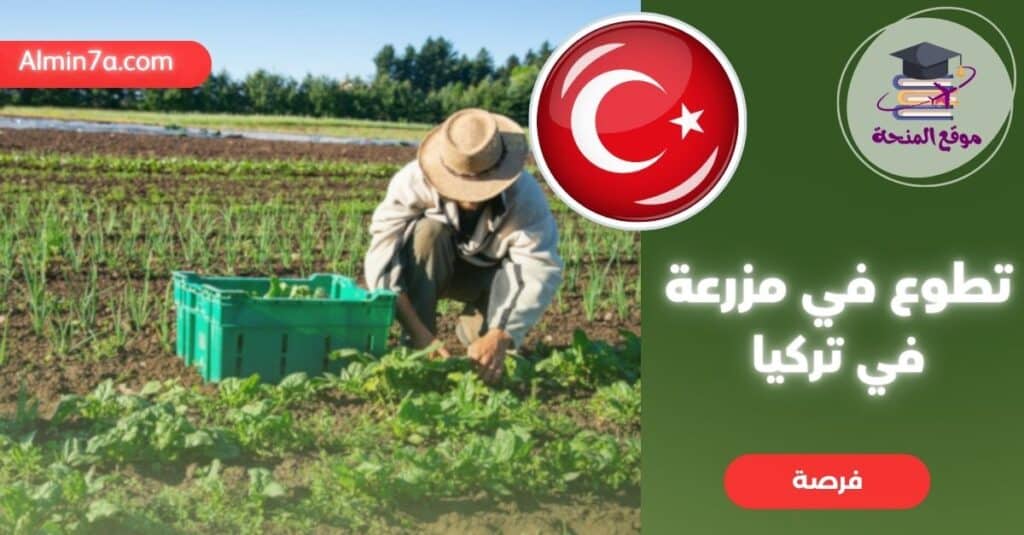 تطوع في تركيا