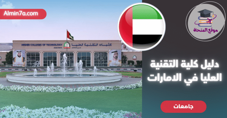 تخصصات كليات التقنية العليا في الإمارات: دليل شامل للطلاب