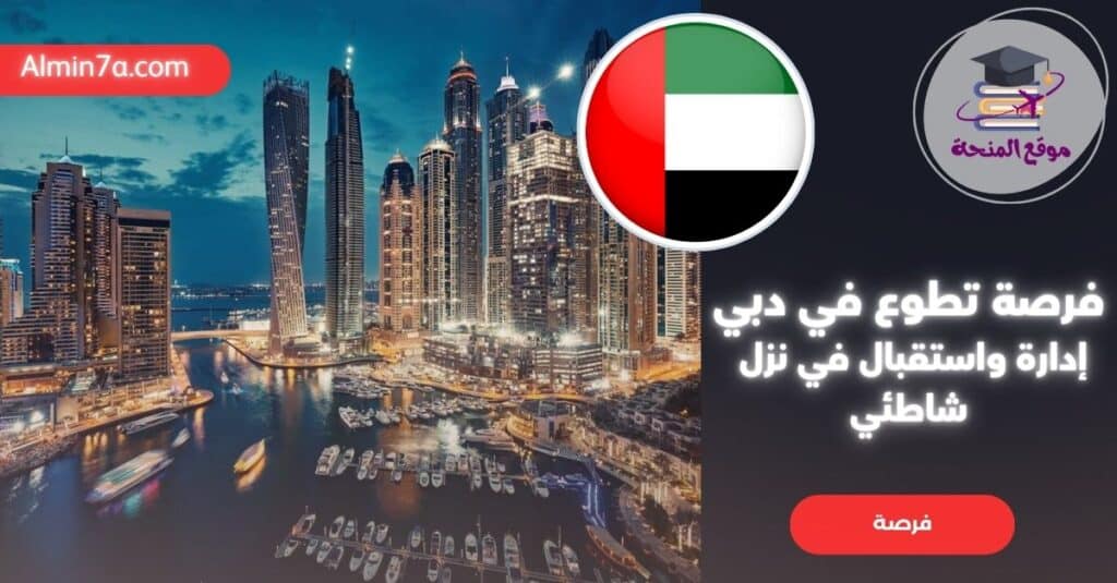 فرصة تطوع في دبي: إدارة واستقبال في نزل شاطئي (إقامة مجانية)